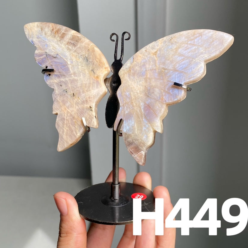 Small Butterfly Wings