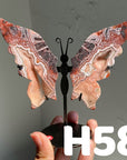 Small Butterfly Wings