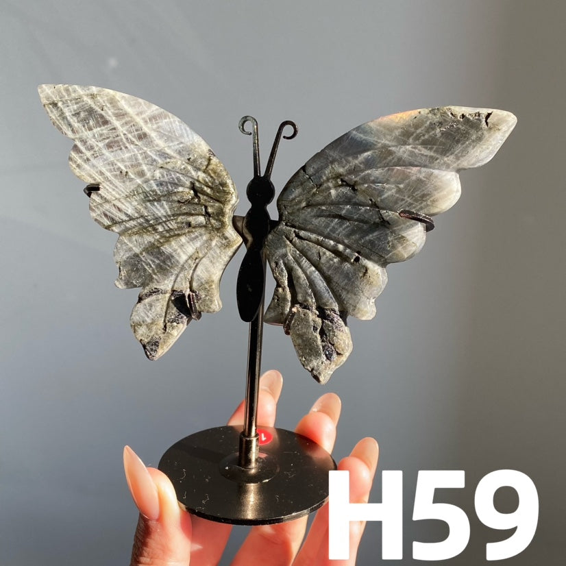 Small Butterfly Wings