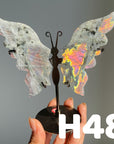 Small Butterfly Wings