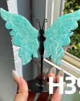 Small Butterfly Wings