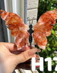 Small Butterfly Wings