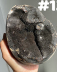 Septarian Egg & Freeform