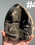Septarian Egg & Freeform