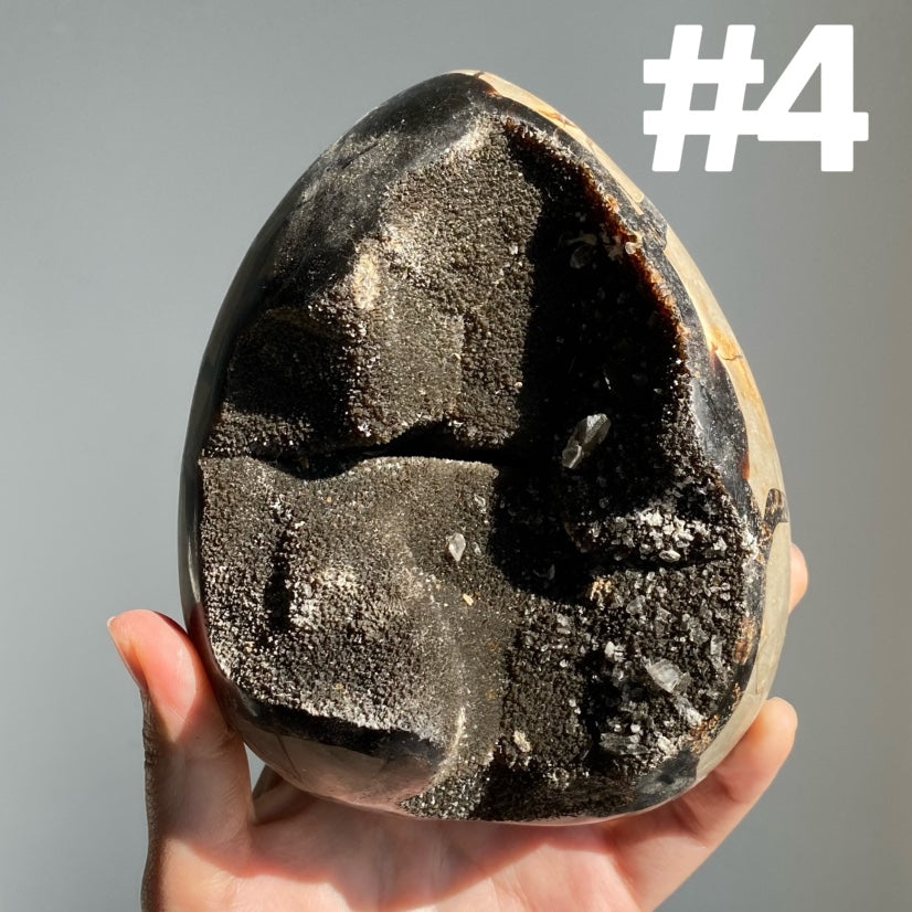 Septarian Egg & Freeform