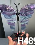 Small Butterfly Wings