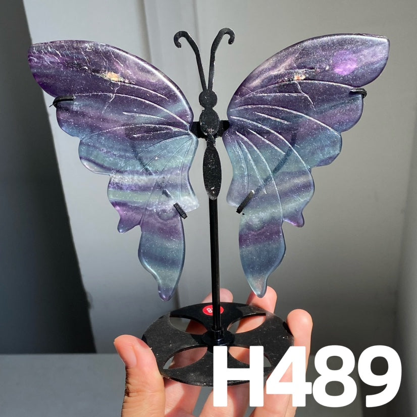 Small Butterfly Wings