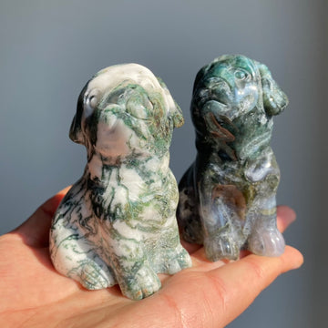 Moss Agate Dog