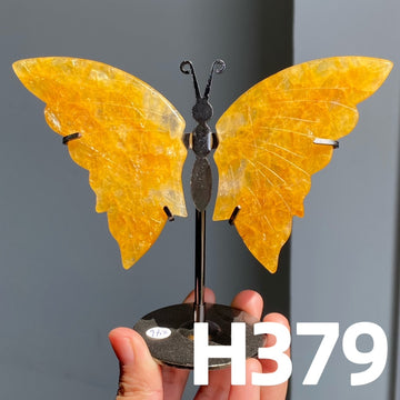 Small Butterfly Wings