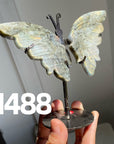 Small Butterfly Wings