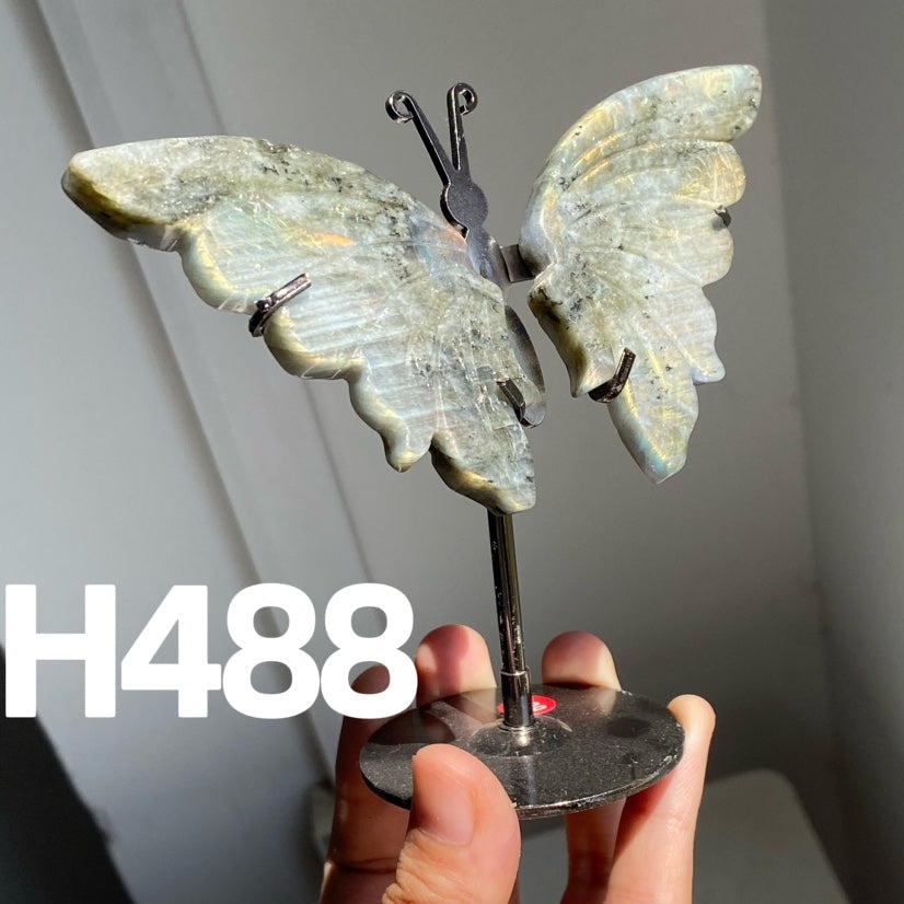 Small Butterfly Wings
