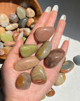 Polychrome Tumble