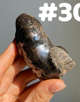 Botryoidal Hematite Specimen