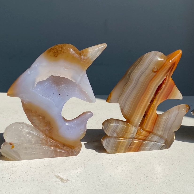 Druzy Agate Dolphin