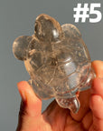 Crystal Turtle