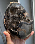 Septarian Egg