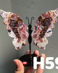 Small Butterfly Wings