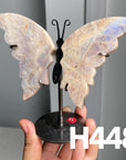 Small Butterfly Wings