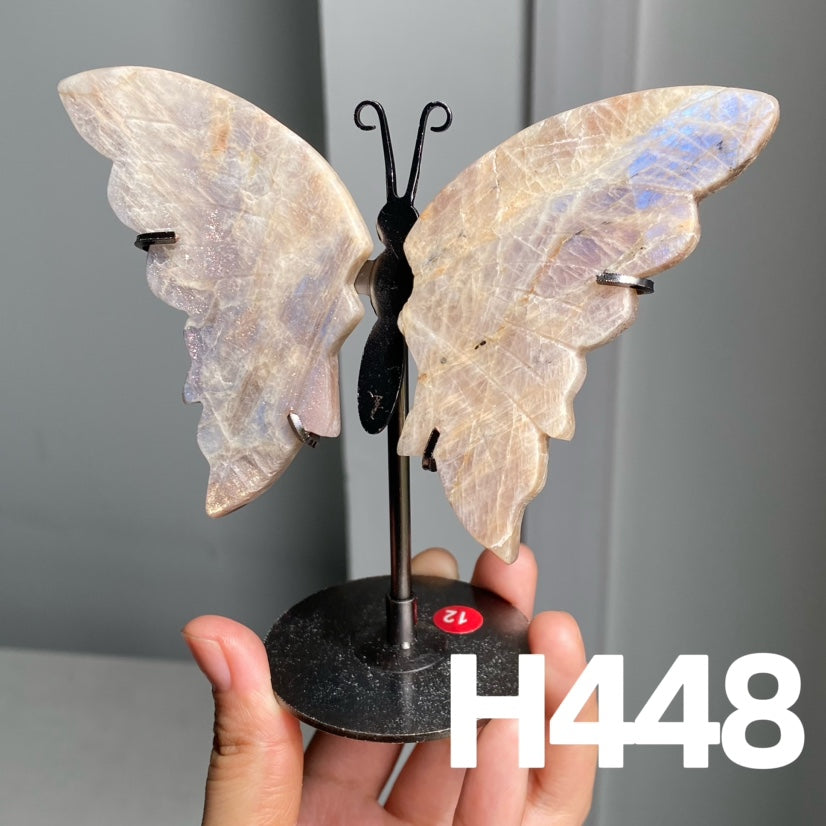Small Butterfly Wings