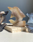 Druzy Agate Dolphin