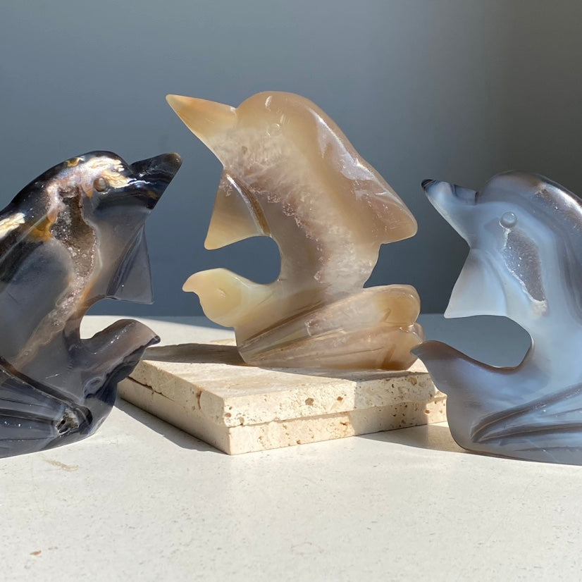 Druzy Agate Dolphin