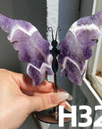 Small Butterfly Wings