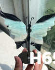Small Butterfly Wings