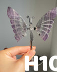 Small Butterfly Wings