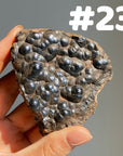 Botryoidal Hematite Specimen