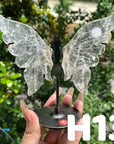 Small Butterfly Wings