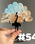 Clearance Peacock Wings(imperfect)