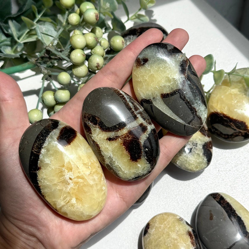 Septarian Palm Stone – Simmon Crystal Wholesale