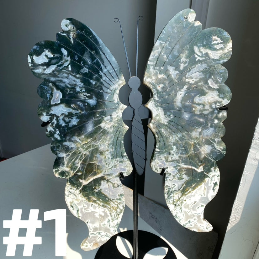 Massive Crystal Butterfly