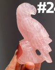Rose Quartz Parrot