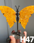 Small Butterfly Wings