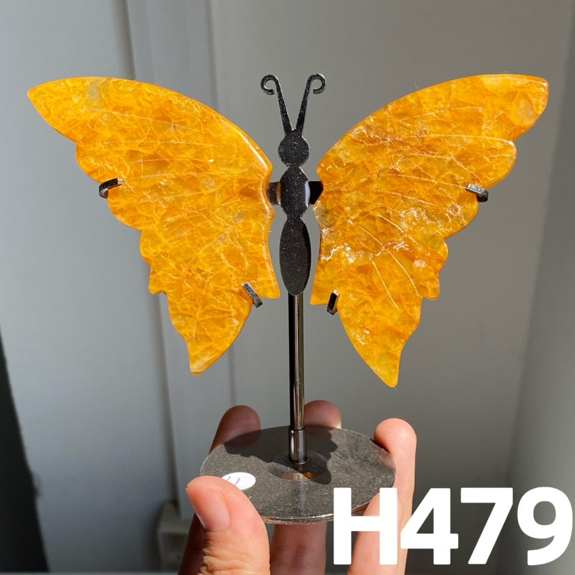 Small Butterfly Wings