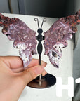 Small Butterfly Wings