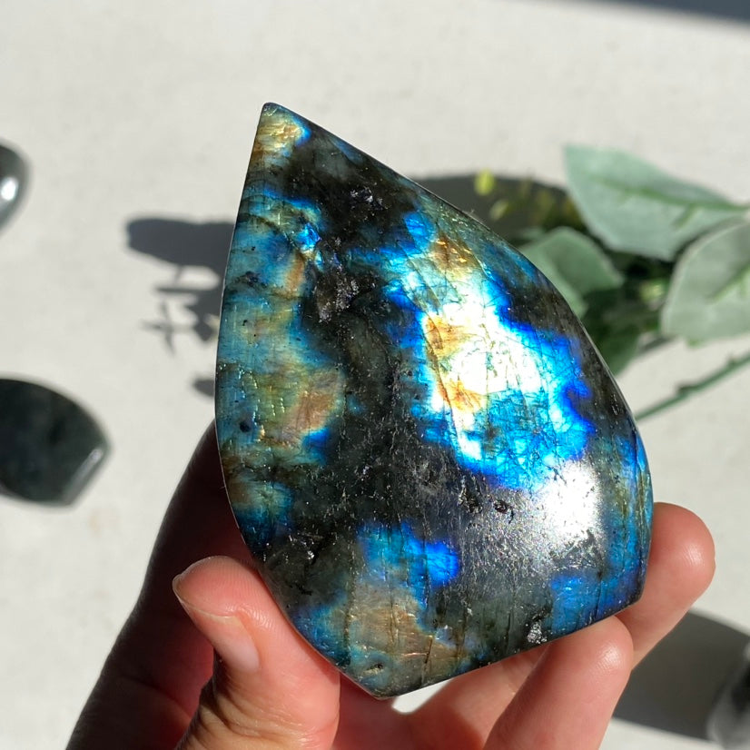 Labradorite Waterdrop freeform