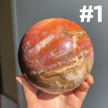 Petrified Wood Sphere