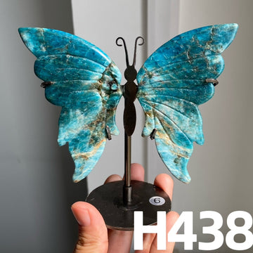 Small Butterfly Wings