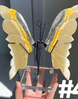 Bumble Bee Jasper Wings