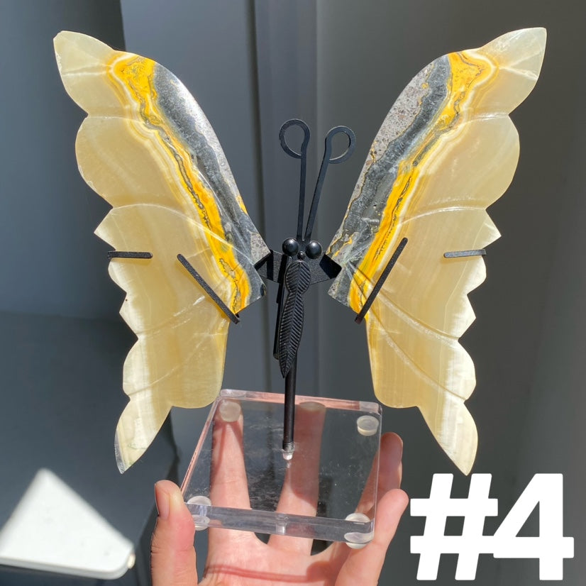 Bumble Bee Jasper Wings