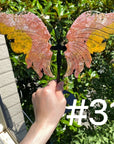 8th Vein Ocean Jasper Butterfly