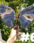 Druzy Agate Butterfly Wings