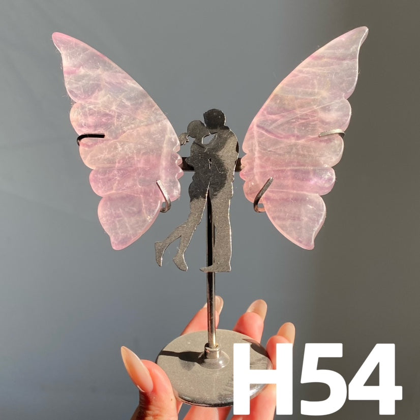 Small Butterfly Wings