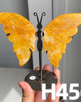 Small Butterfly Wings