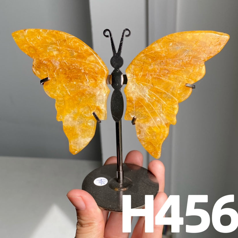 Small Butterfly Wings