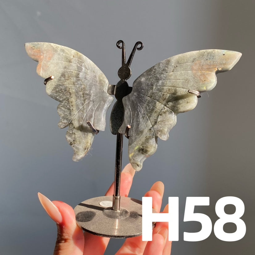 Small Butterfly Wings