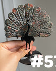 Clearance Peacock Wings(imperfect)