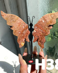 Small Butterfly Wings